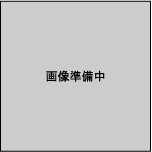 その他矯正装置